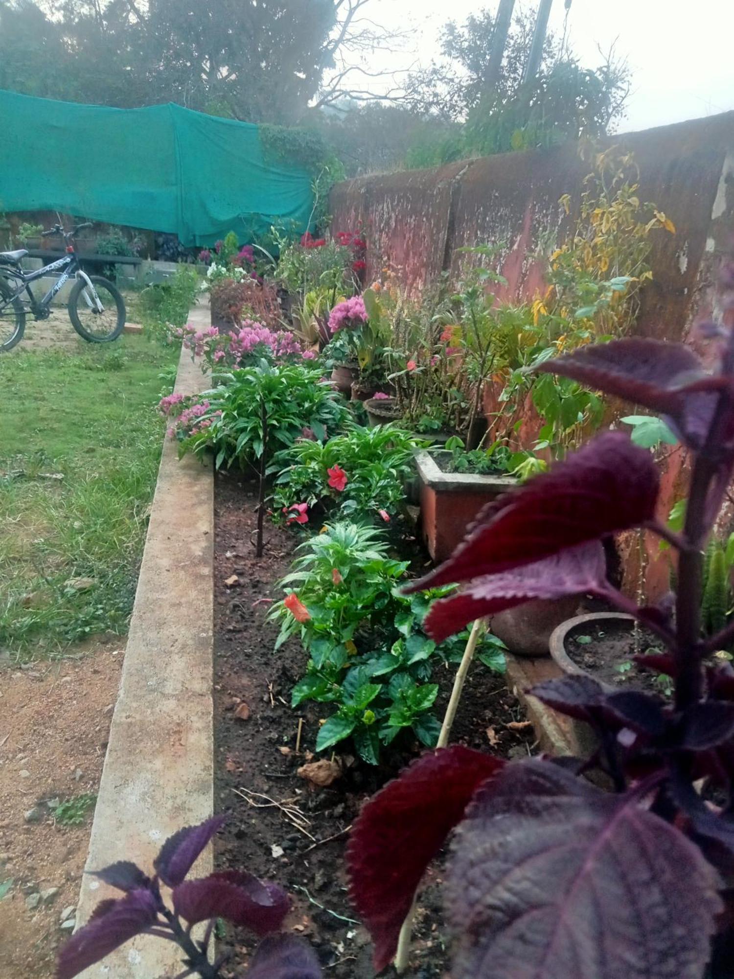 Eshwarkrupa Homestay มาดิเครี ภายนอก รูปภาพ